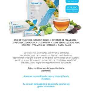 THERMO T3