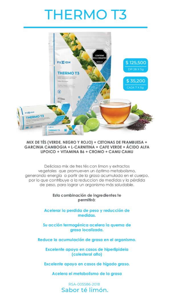 THERMO T3