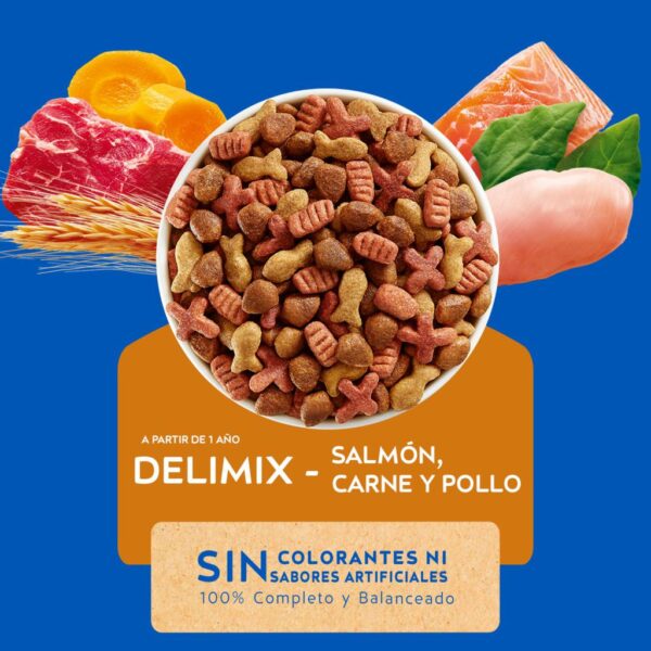Cat Chow Alimento para Gatos Adultos Delimix 10 kg - Image 2